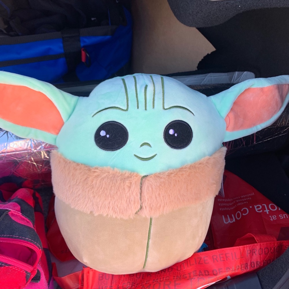 Meet your Posher, Lina